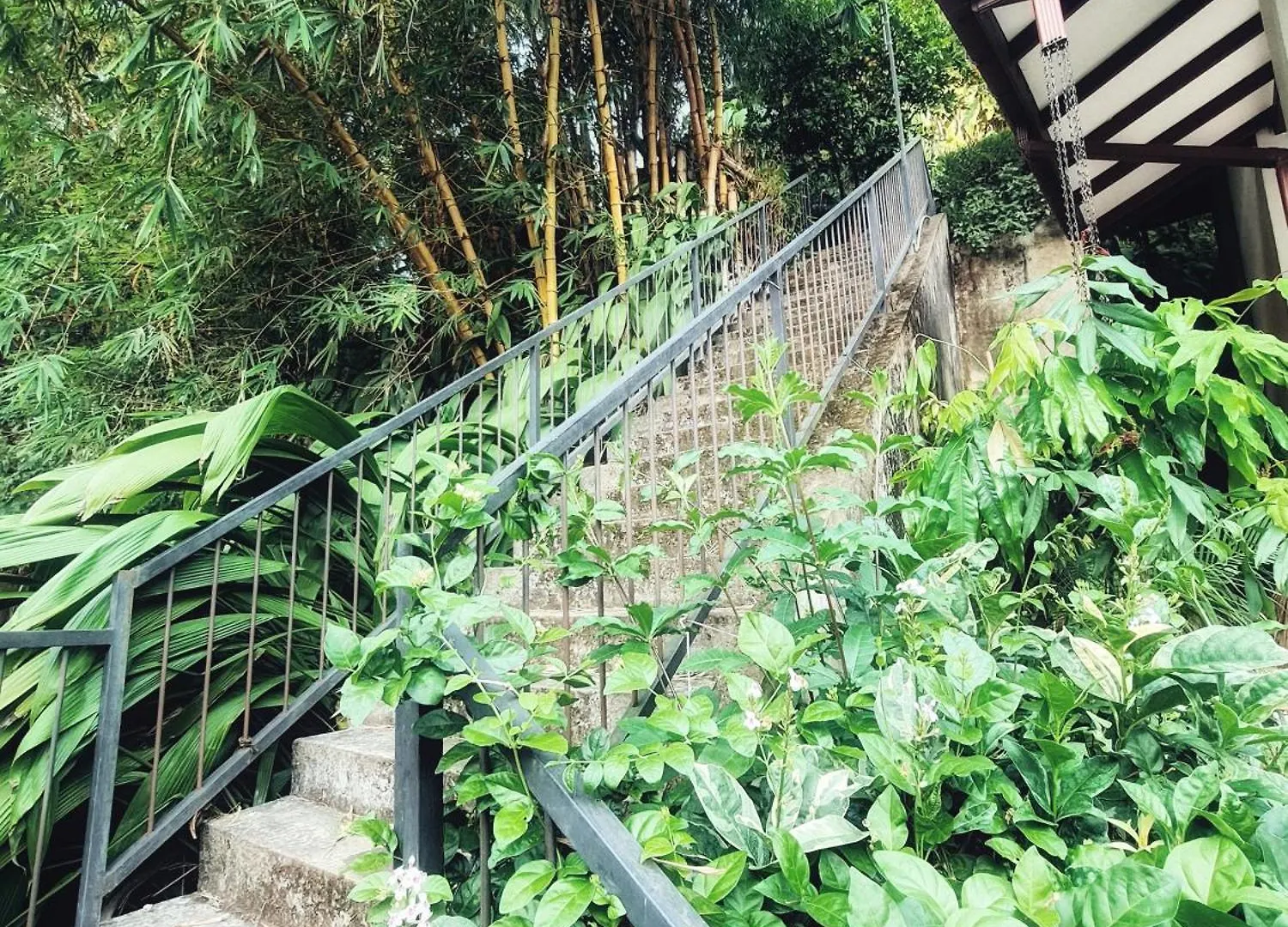 Teirack Rosis Wish Apartment Kandy